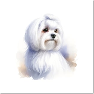 Maltese Watercolor Painting - Beautiful Dog Posters and Art